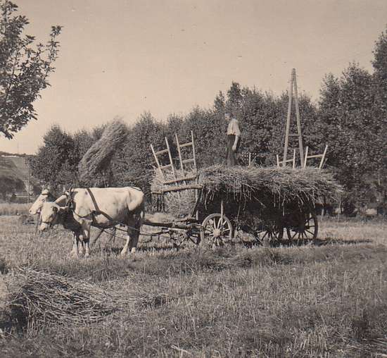 alte Zeiten