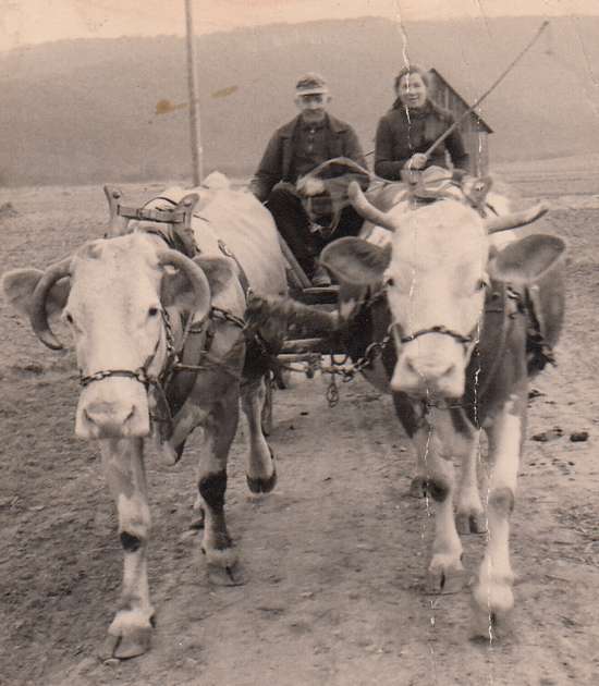 alte Zeiten