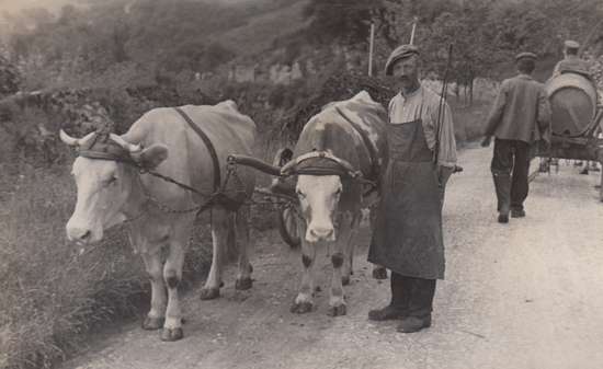 alte Zeiten