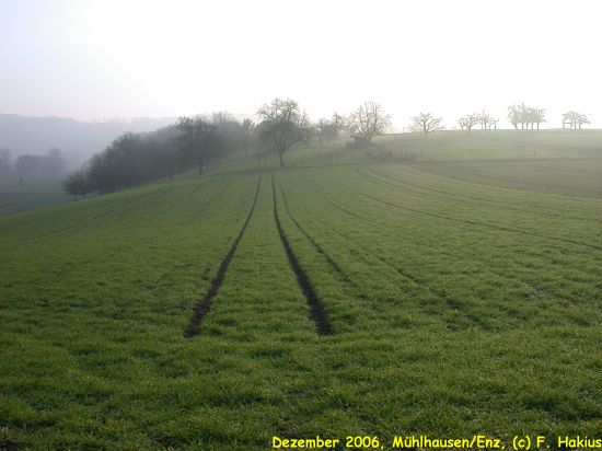 Dezember 2006