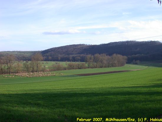 Februar 2007