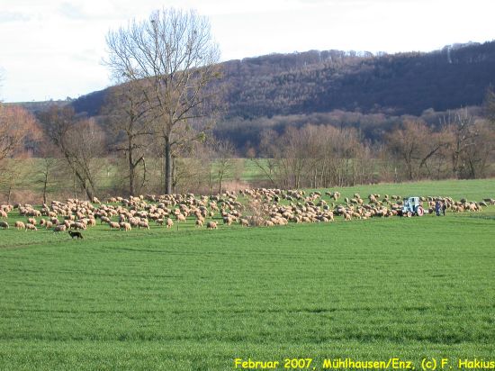 Februar 2007