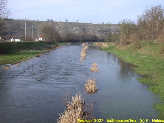 Februar 2007