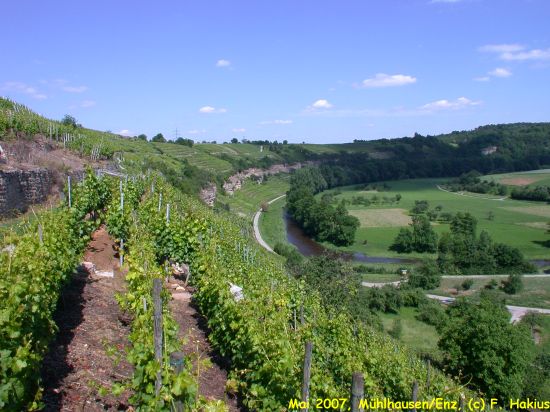 Mai 2007