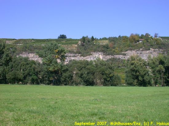 September 2007