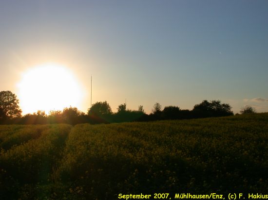 September 2007