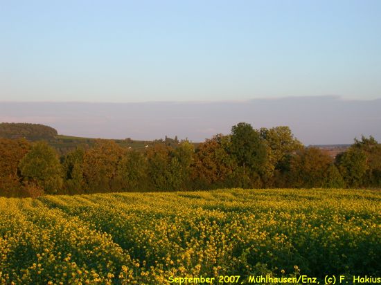September 2007