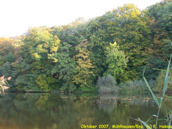 Oktober 2007