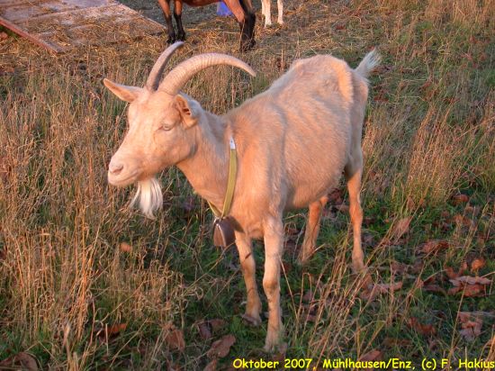 Oktober 2007