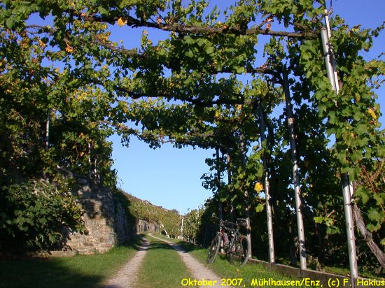 Oktober 2007