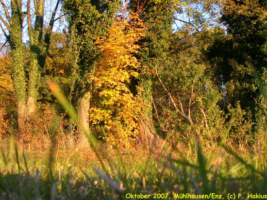 Oktober 2007