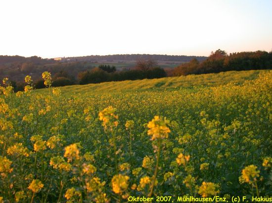 Oktober 2007