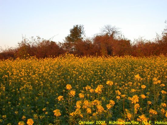 Oktober 2007