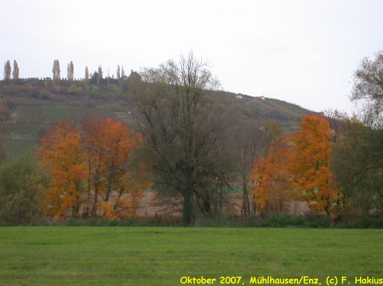 Oktober 2007