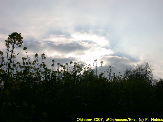 Oktober 2007