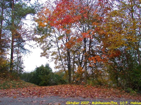 Oktober 2007