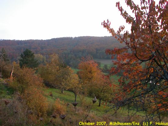 Oktober 2007