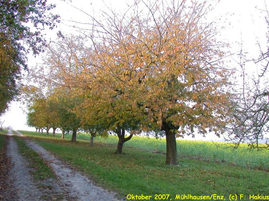 Oktober 2007