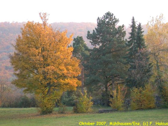 Oktober 2007