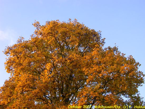 Oktober 2007