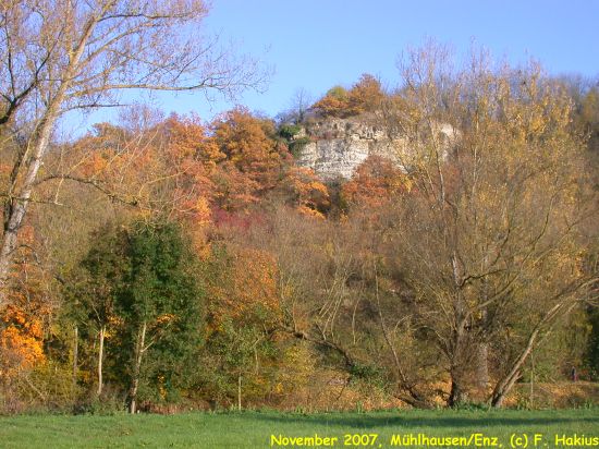 November 2007
