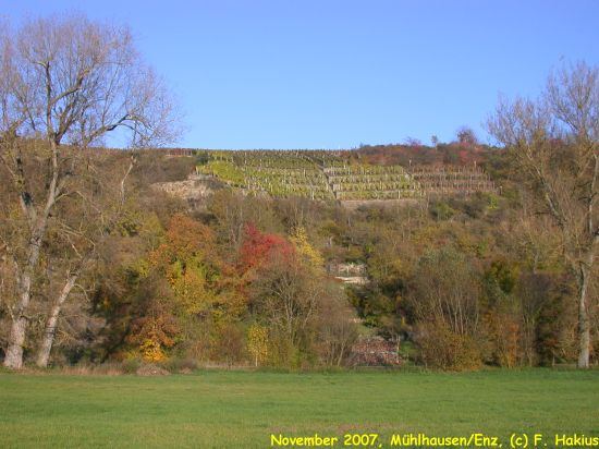 November 2007