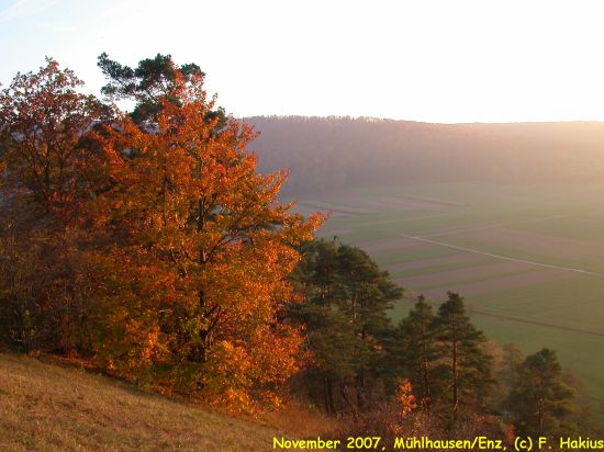 November 2007