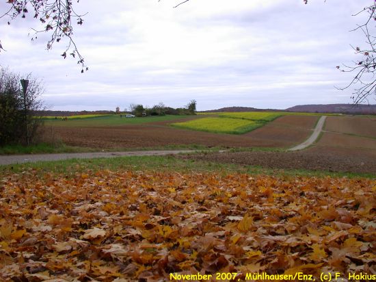 November 2007