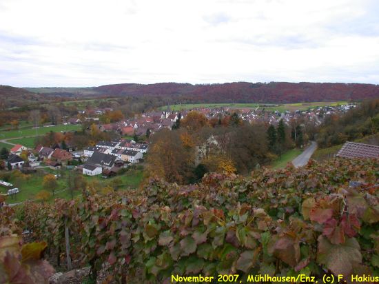 November 2007