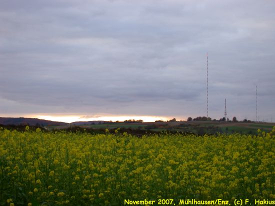 November 2007