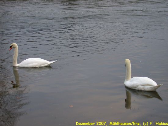 Dezember 2007