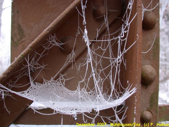 Dezember 2007