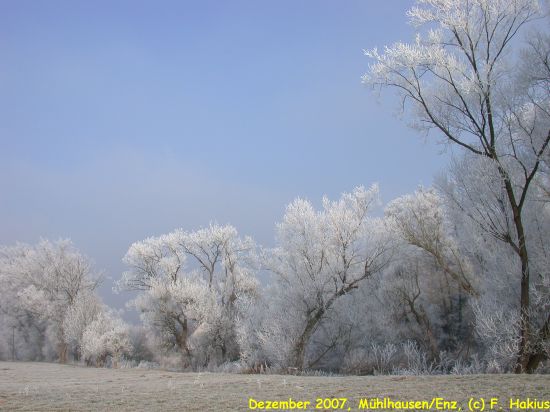 Dezember 2007