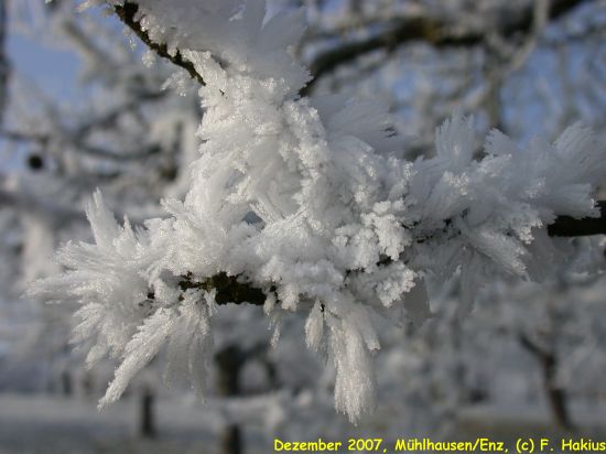 Dezember 2007