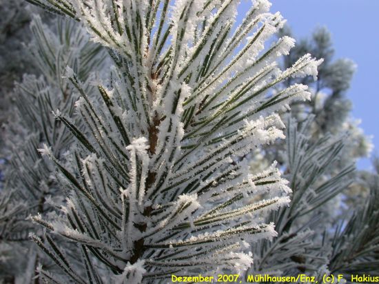 Dezember 2007