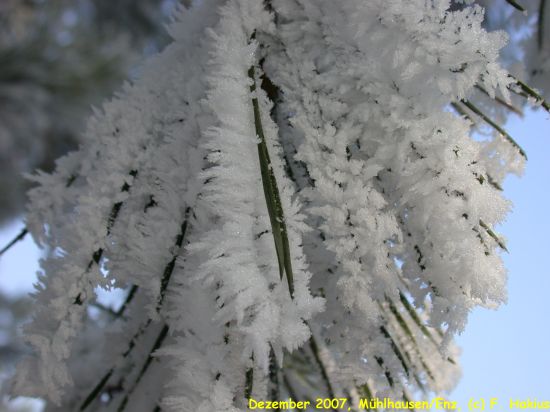 Dezember 2007