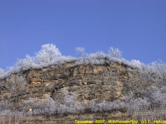 Dezember 2007