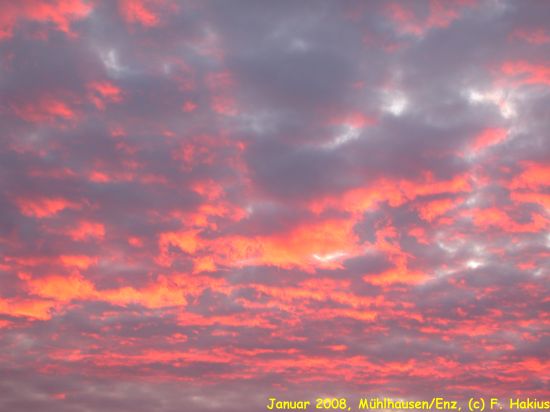 Januar 2008