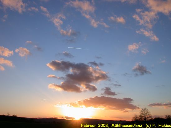 Februar 2008