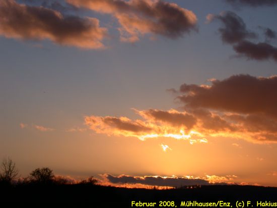Februar 2008