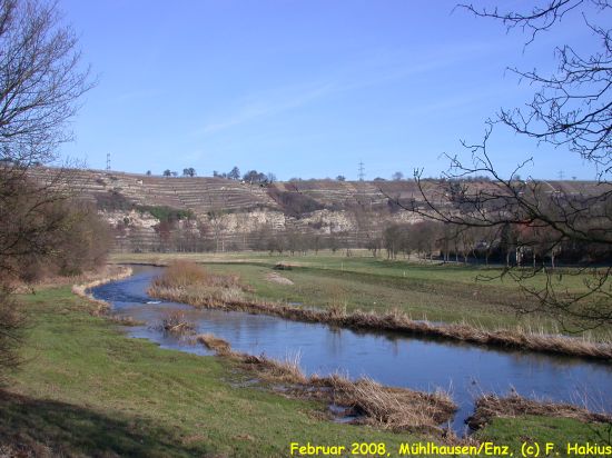 Februar 2008