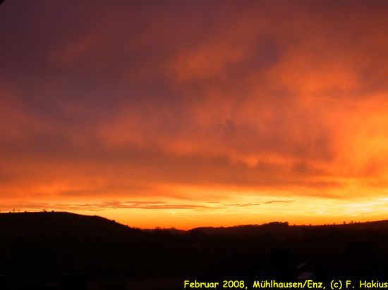 Februar 2008