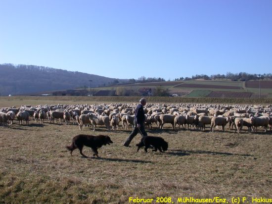 Februar 2008