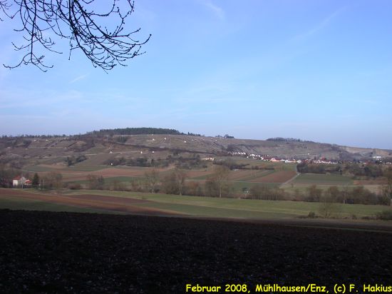 Februar 2008