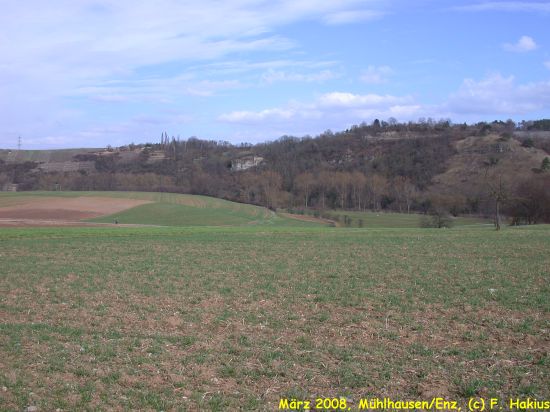 März 2008