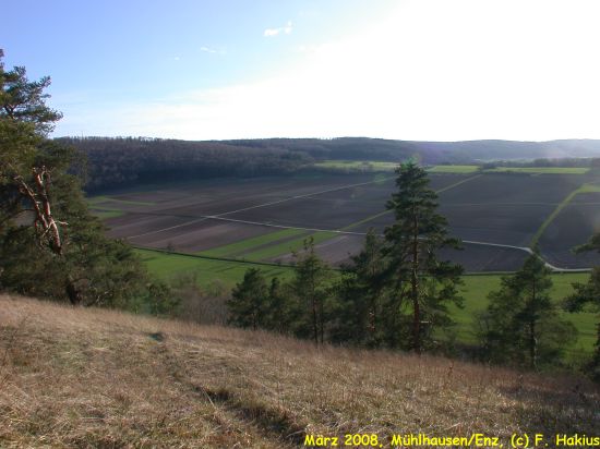 März 2008