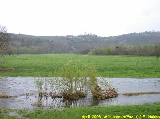April 2008