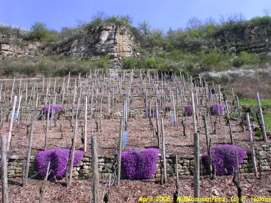 April 2008