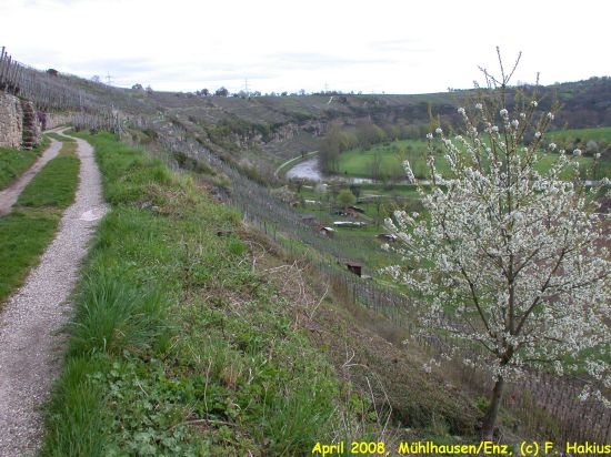 April 2008