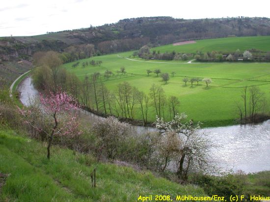 April 2008